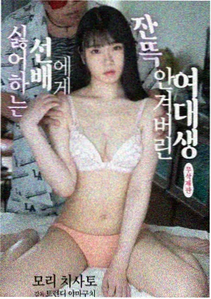 8x8x视频在线高分剧单分类示意图